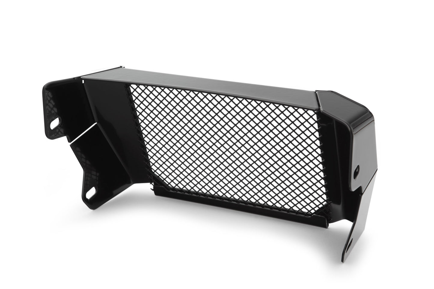 BMW R 18 Protection - Oil Cooler Guard