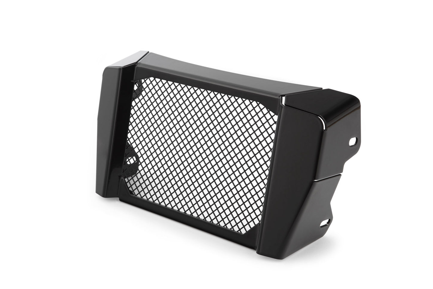 BMW R 18 Protection - Oil Cooler Guard