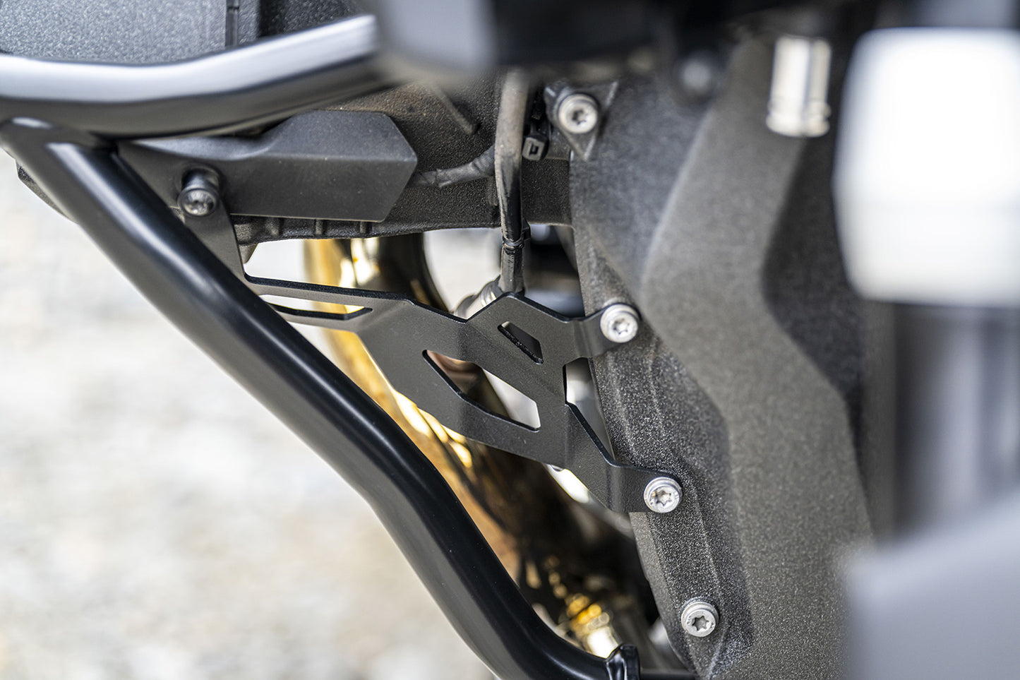 BMW R1300GS Protection - Oxygen Sensor