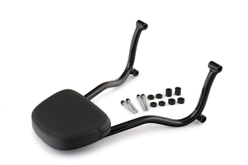 BMW R 12 Ergonomics - Backrest