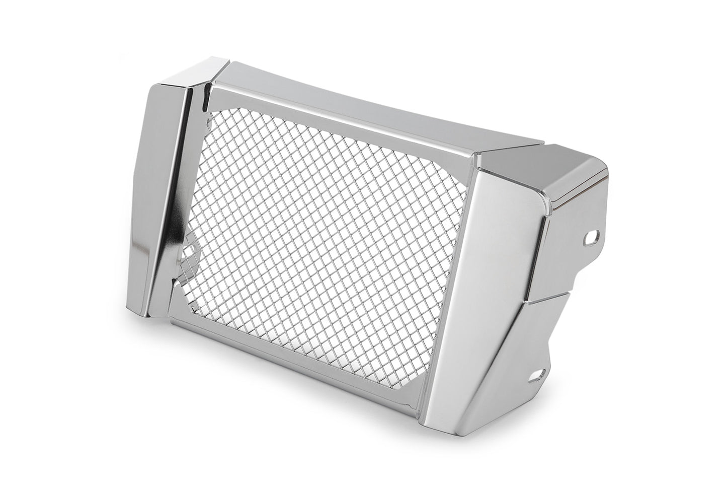 BMW R 18 Protection - Oil Cooler Guard