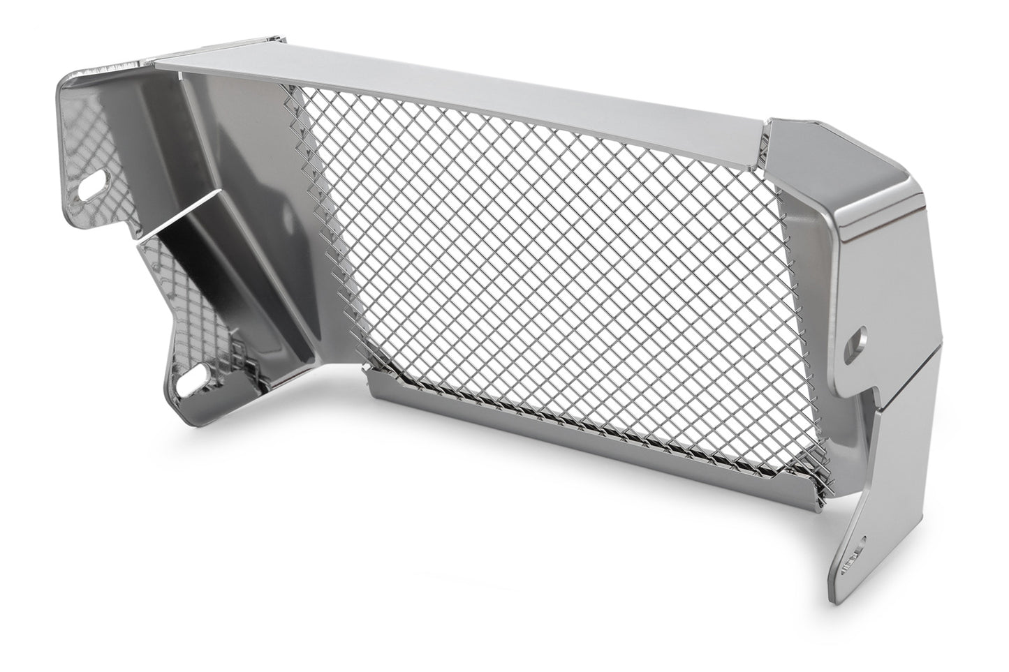 BMW R 18 Protection - Oil Cooler Guard