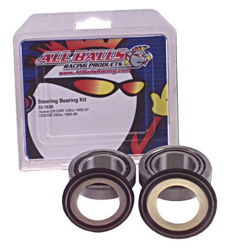 Steering Bearing Kit (22-1004).