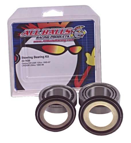 Steering Bearing Kit (22-1004).