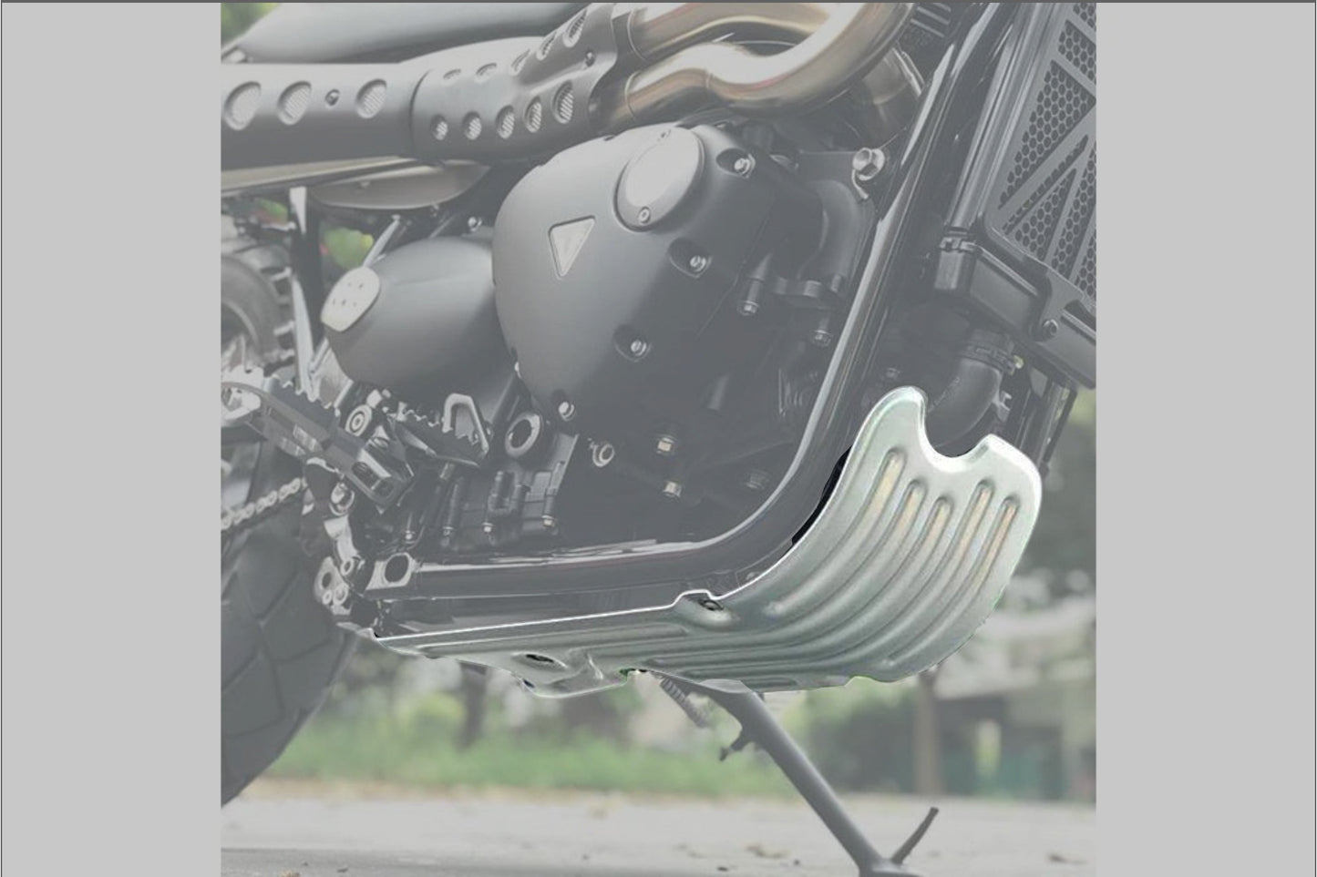 Triumph Protection - Skid Plate.