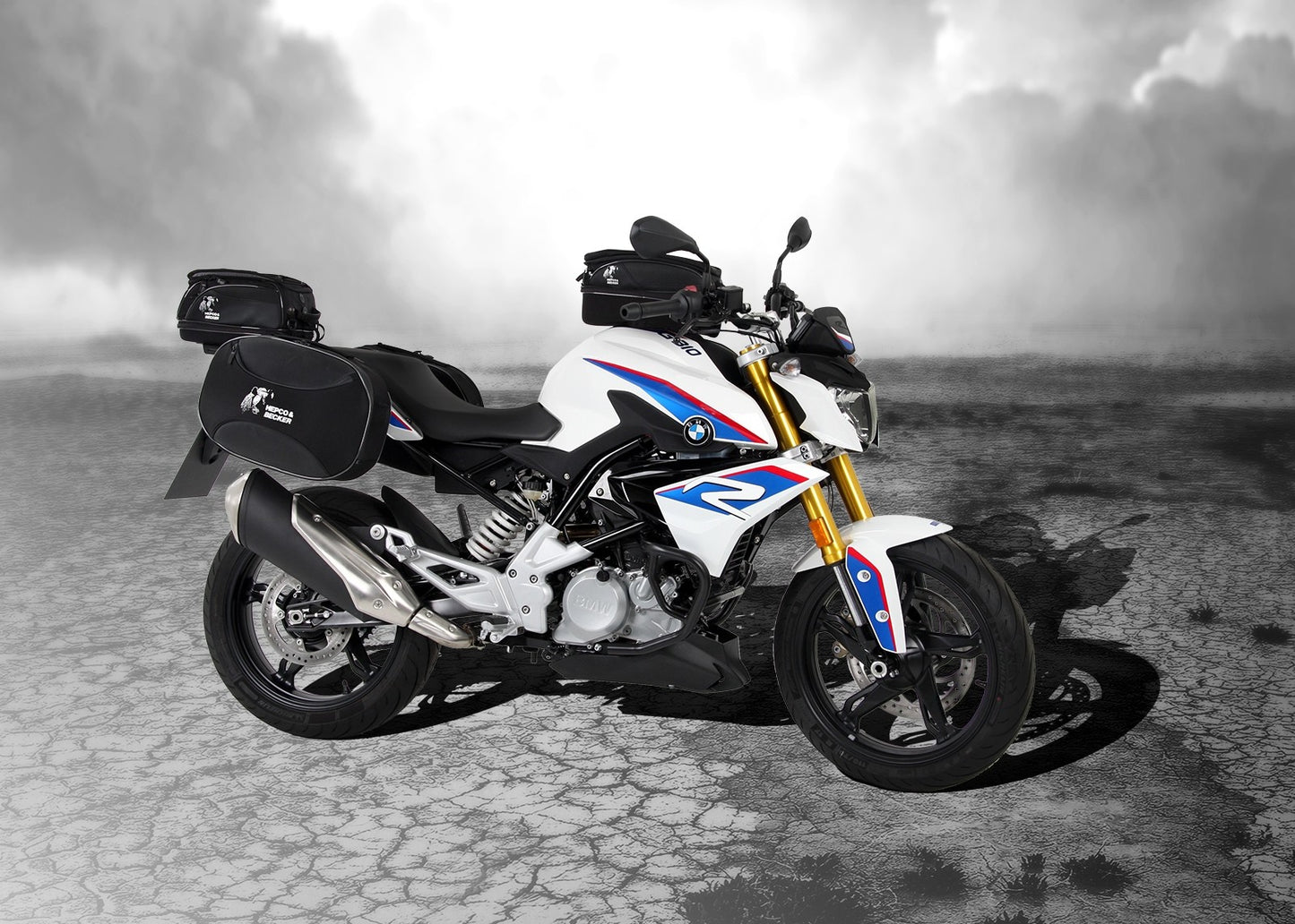 BMW G310R Carrier - Sidecase C-Bow.