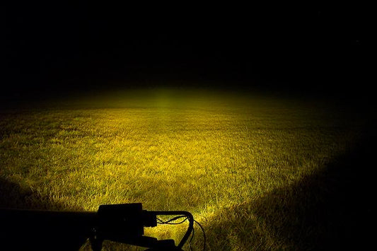 Yellow Colour Lighting during fog