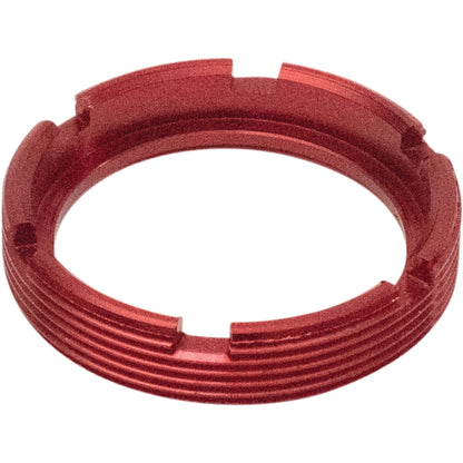 Wheel Bearing Retainer Kit Rear 2002