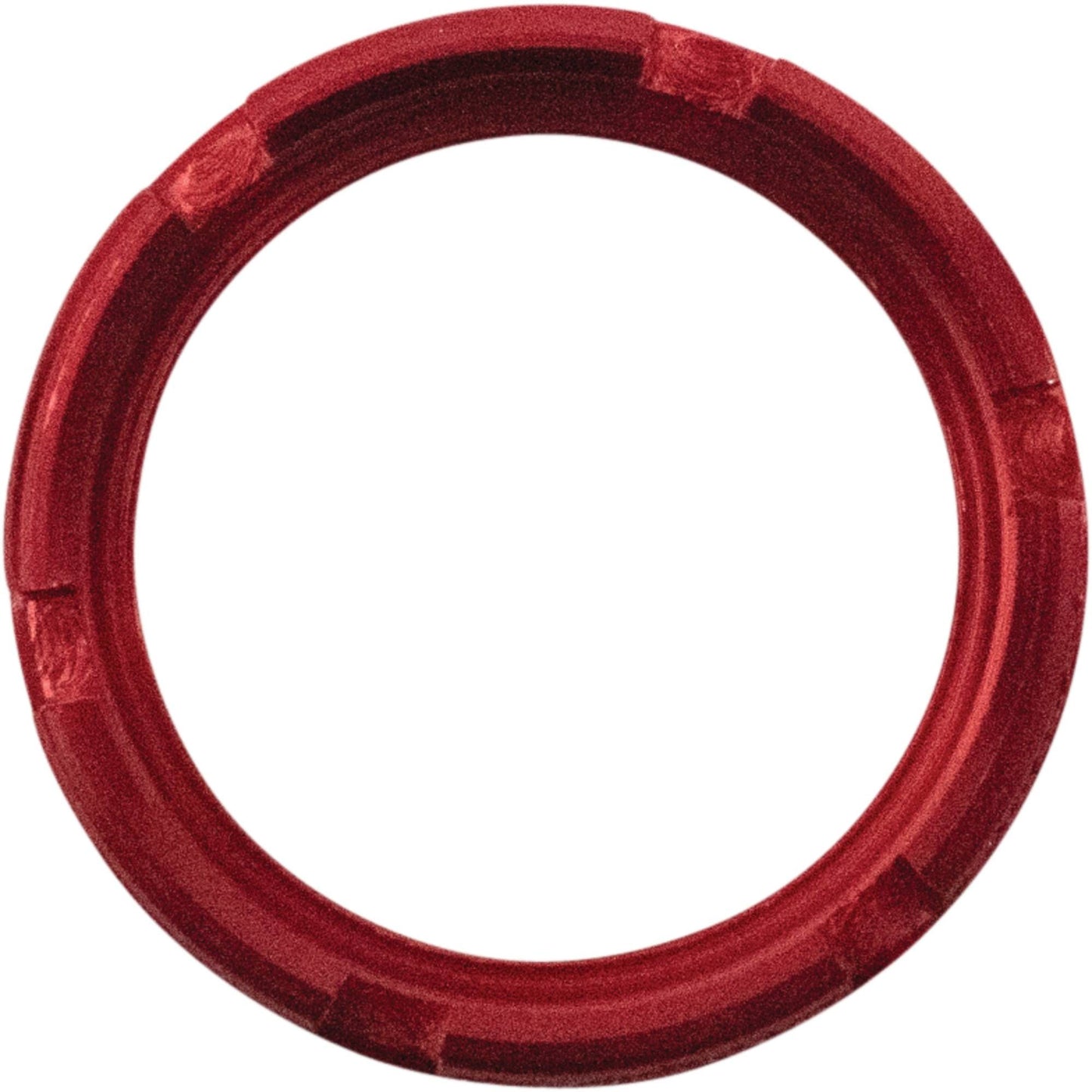 Wheel Bearing Retainer Kit Rear 2002