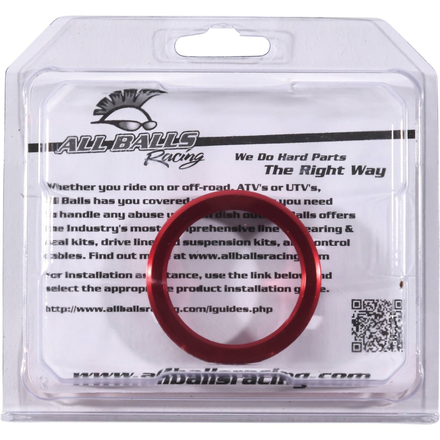 Wheel Bearing Retainer Kit Rear 2002