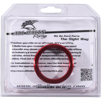 Wheel Bearing Retainer Kit Rear 2002