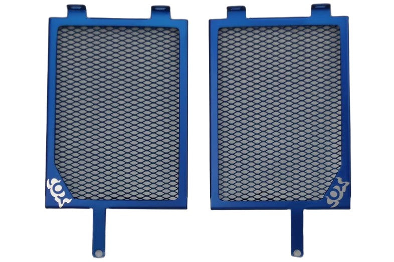 BMW R 1200 GS Protection - Radiator Guard