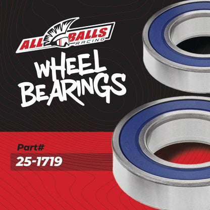 Wheel Bearing Kits (1719)