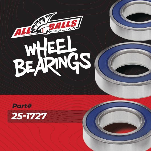 Wheel Bearing Kits Rear (1727)