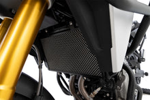 BMW F 450 GS Protection - Radiator Guard