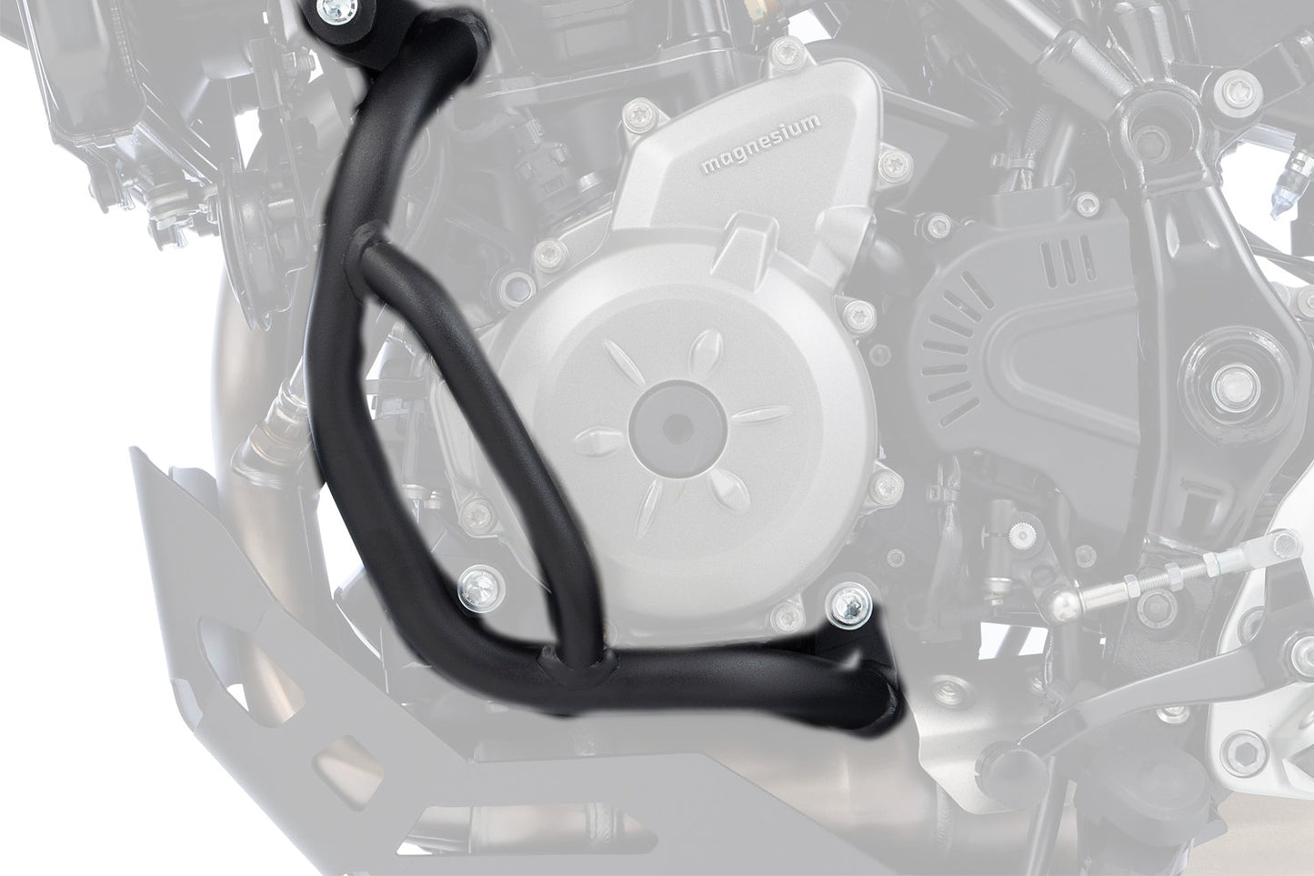 BMW F 450 GS Protection - Engine Bar