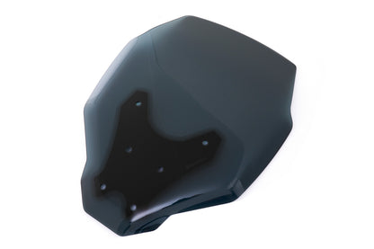 BMW CE 04 Ergonomics - Windshield Marathon