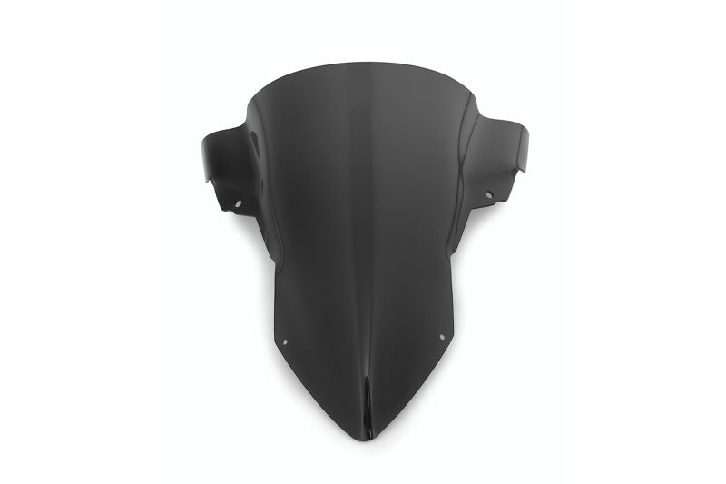 BMW S/M 1000 RR Screen - Windshield ENDURANCE PRO