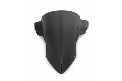 BMW S/M 1000 RR Screen - Windshield ENDURANCE PRO
