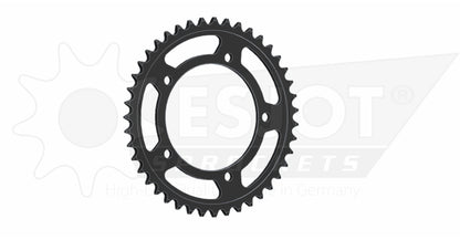 Sprockets Rear (29024 - 41T) - Esjot ( 525 Pitch)