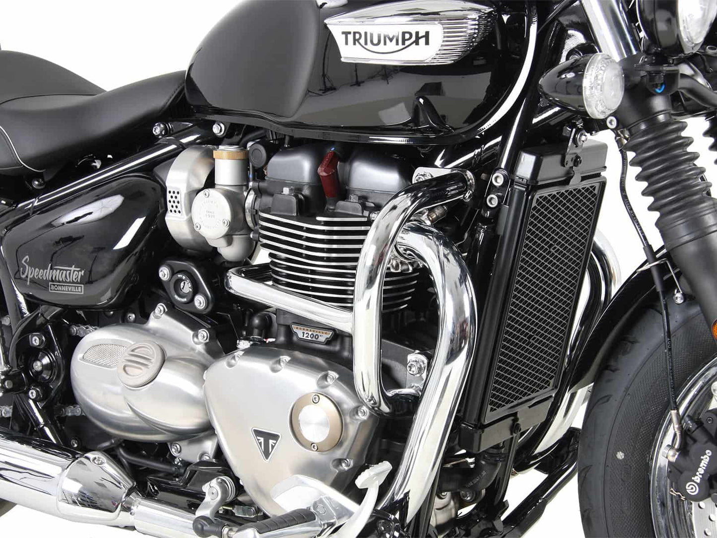 Triumph Protection - Engine Guard