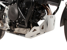 BMW F 900 GS Protection - Skid Plate