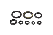 Engine Oil Seal Kit (822378)