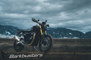 Deflectors - Carbon by Barkbusters