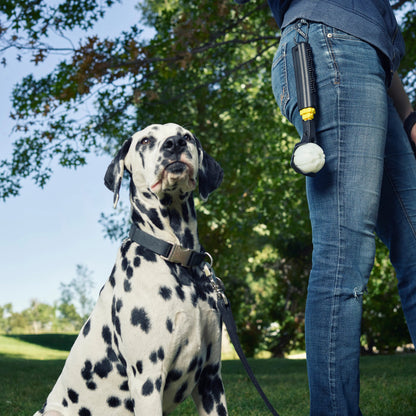 HUCK 'N TUCK GLOWSTREAK COLLAPSIBLE THROWER + LED BALL