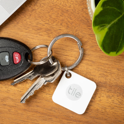 O-SERIES GATED KEY RING