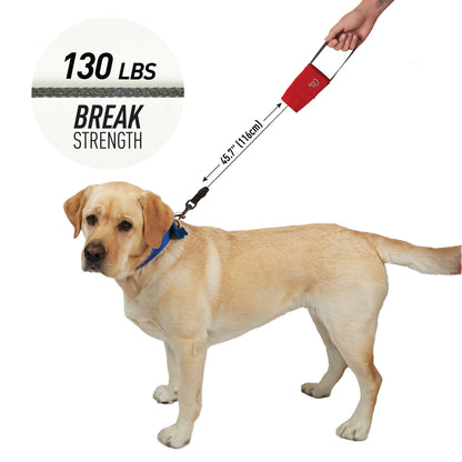 RADDOG RETRACTABLE POCKET LEASH