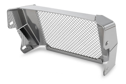 BMW R 18 Protection - Oil Cooler Guard