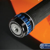 BMW R1250GS Ergonomics - Cruise Control.