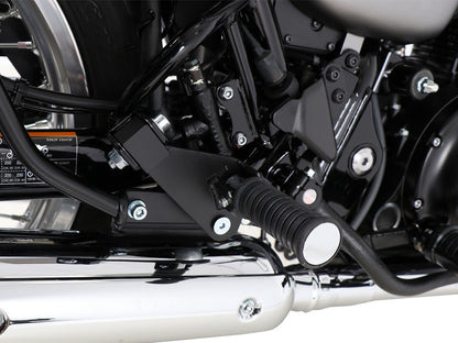 Kawasaki W800 Street/Cafe Ergonomics - Pillion Footrest lowering Kit.