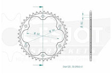 Sprockets Rear (29043-41T) - Esjot
