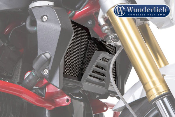 BMW R1200R Protection - Radiator Guard.