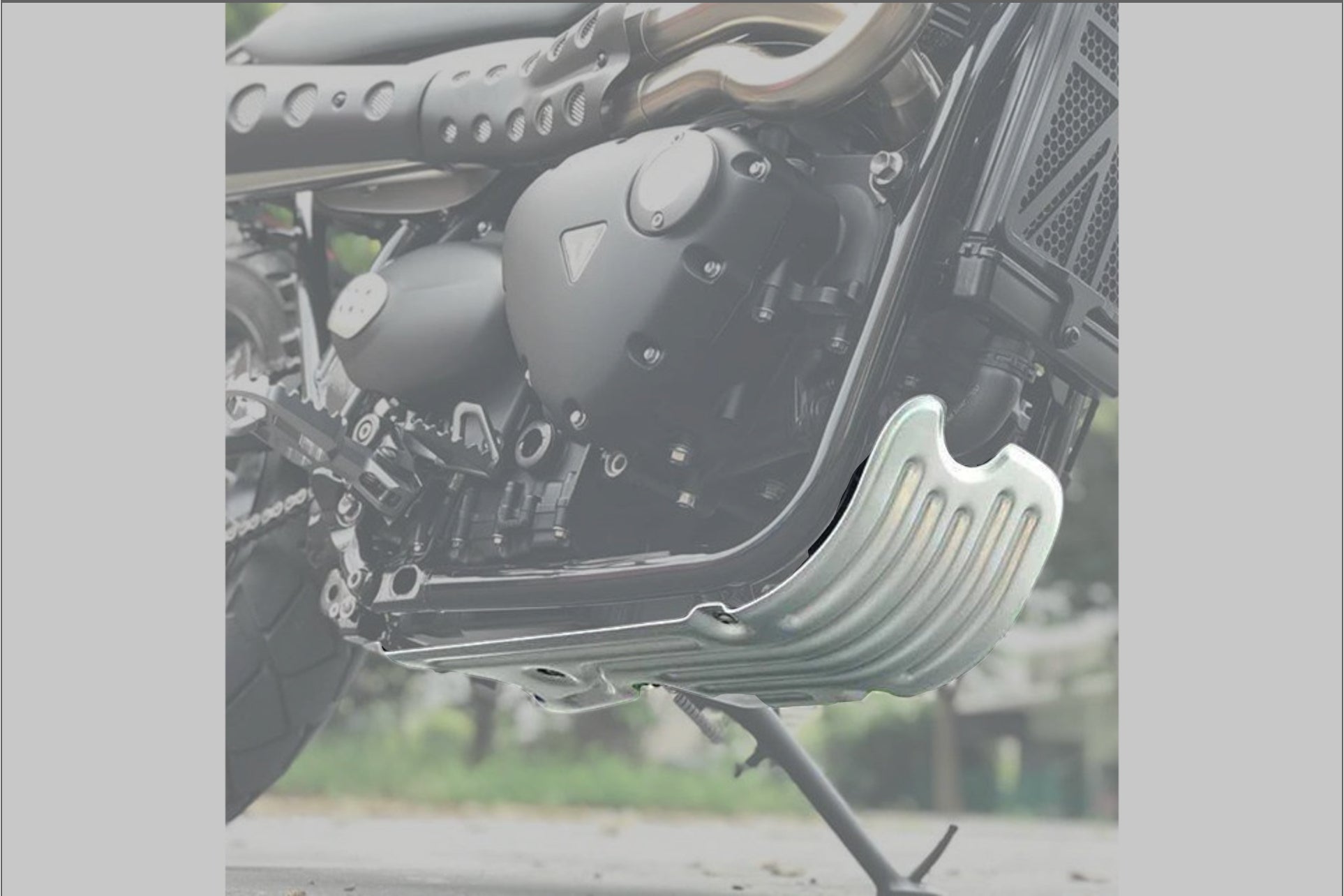 Triumph Protection - Skid Plate.