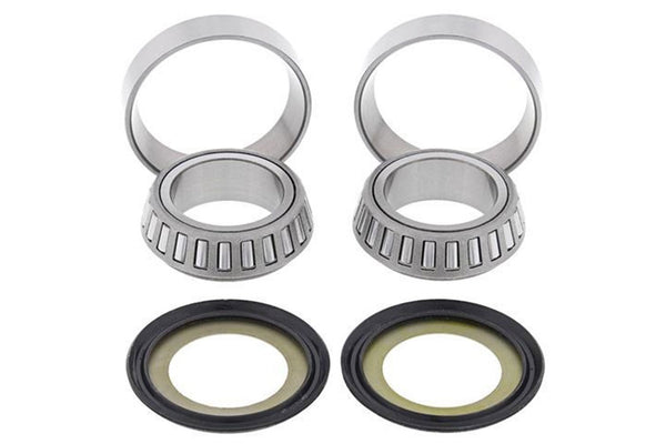 Steering Bearing Kit (22-1003).