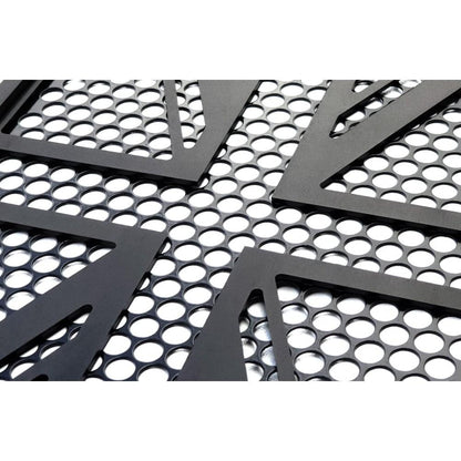 Triumph Bobber Radiator - Protection.