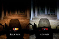 Kawasaki Versys 650 Bulb - LED H7 4000 (each) Lumen Headlight.
