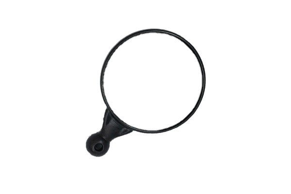 Mirror Double Take - Dual Sport